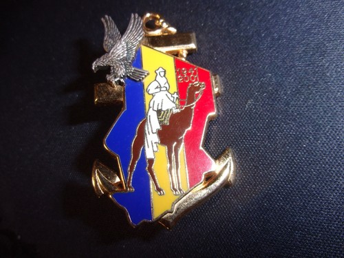 Insigne régiment marche - marche, du